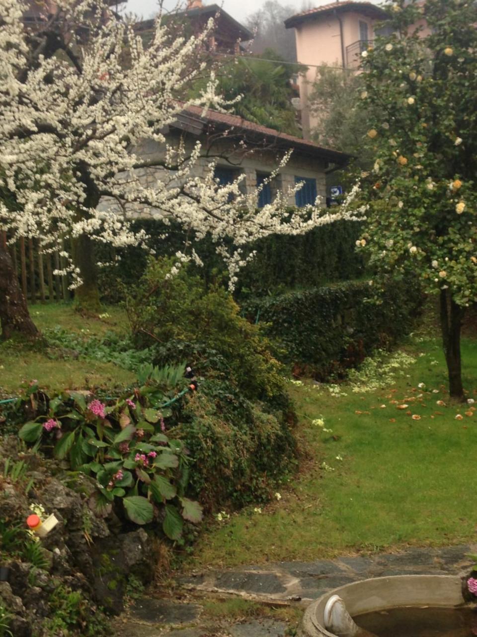 Villa Maria Lago Maggiore Reno Di Leggiuno Exterior photo